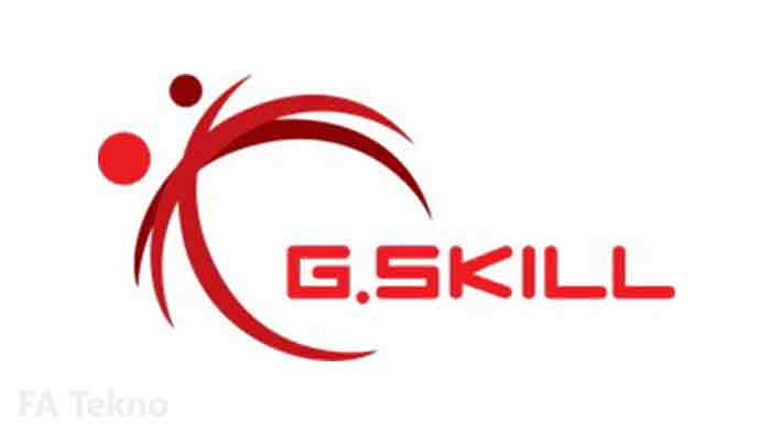 Logo GSkill